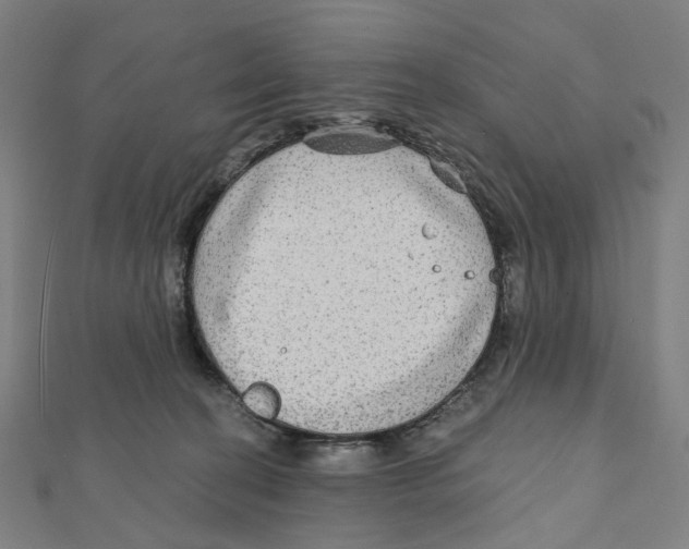 X0000111790274200908201138