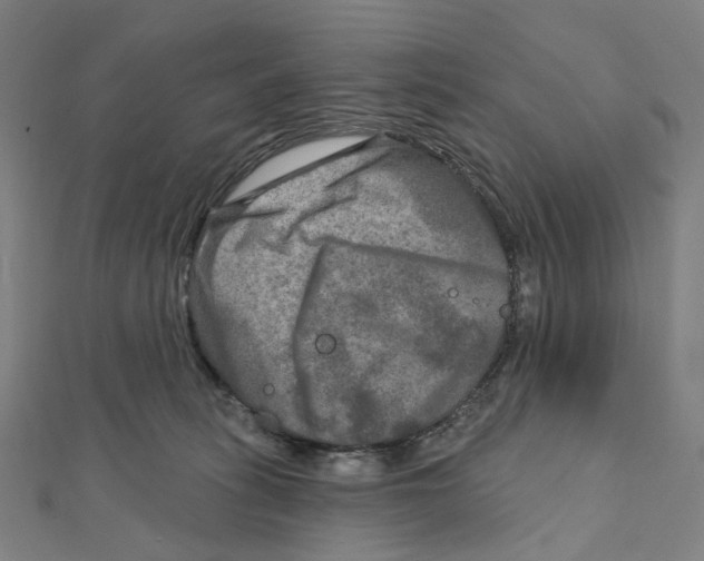 X0000111790275200908201138