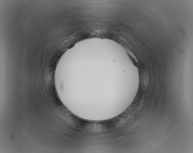 X0000111790276200908201138