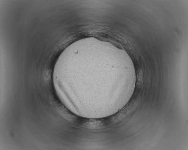 X0000111790278200908201138