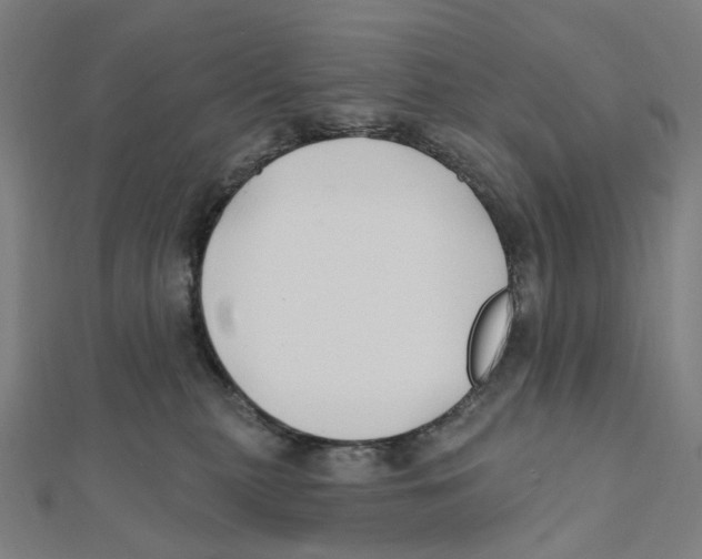 X0000111790279200908201138