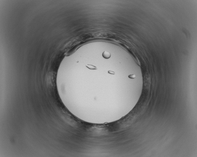 X0000111790280200908201138