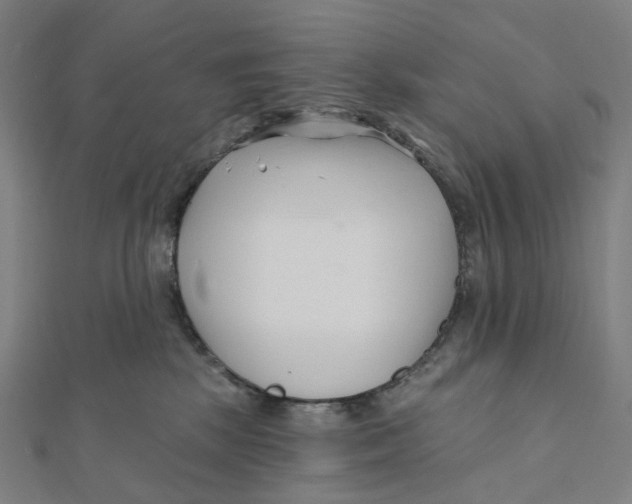 X0000111790281200908201138