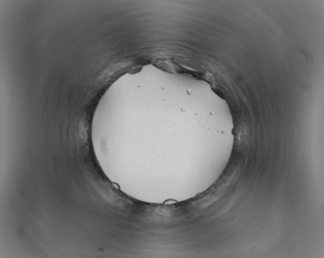 X0000111790282200908201138