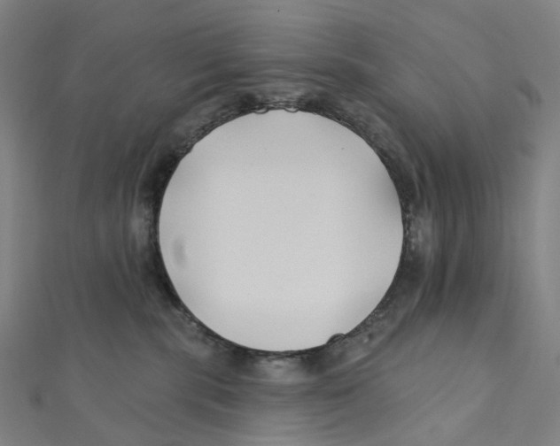 X0000111790283200908201138