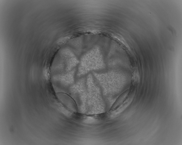 X0000111790285200908201138