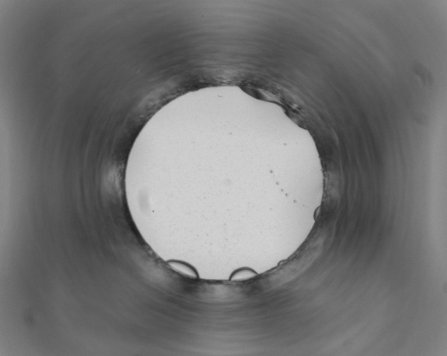 X0000111790286200908201138