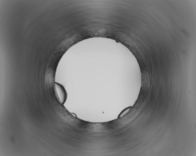 X0000111790287200908201138