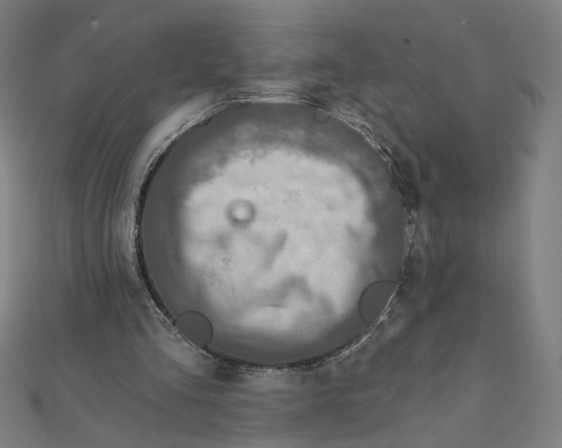 X0000111790293200908201137