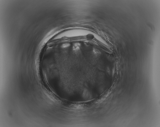 X0000111790295200908201137