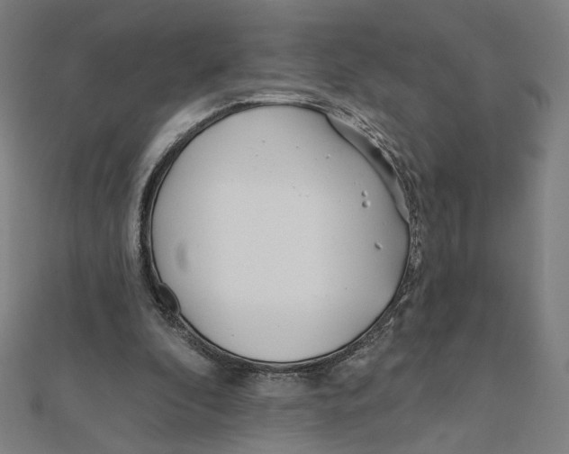 X0000111790296200908201137