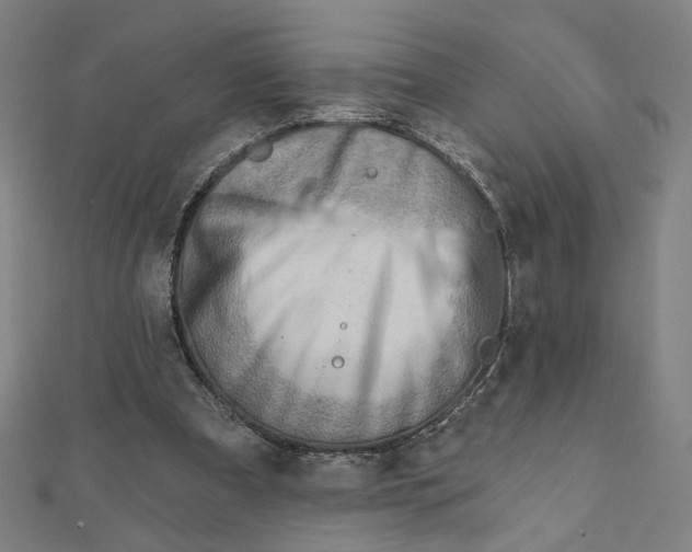 X0000111790297200908201137