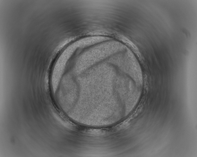 X0000111790298200908201137