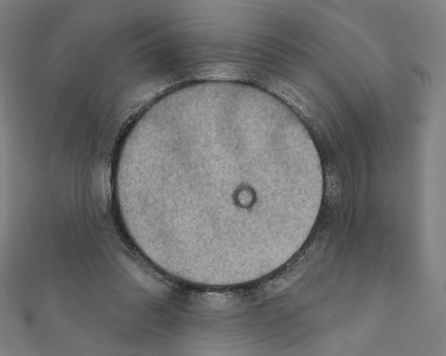 X0000111790302200908201137