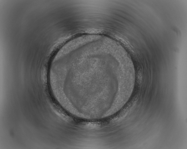 X0000111790303200908201137