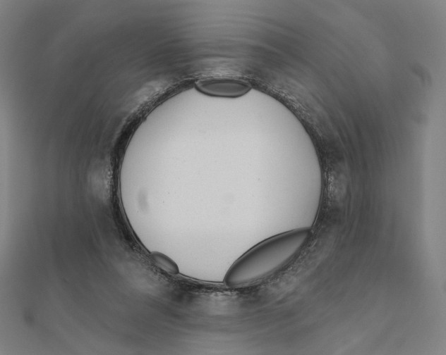 X0000111790304200908201137