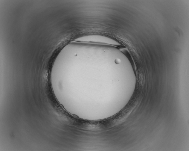 X0000111790308200908201137