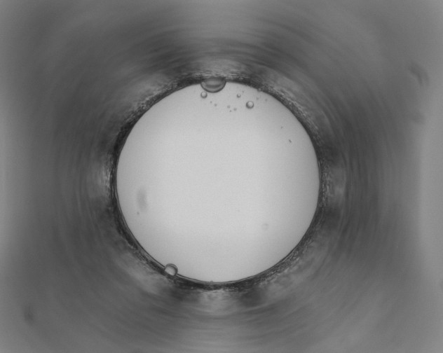 X0000111790309200908201137