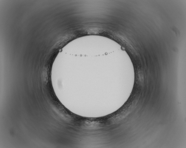 X0000111790311200908201137