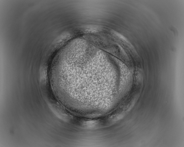 X0000111790312200908201137