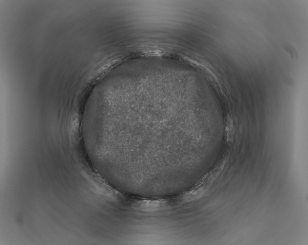 X0000111790314200908201137