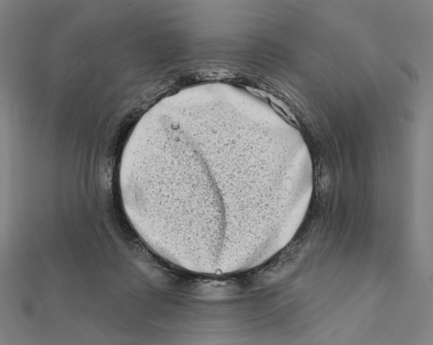 X0000111790315200908201137