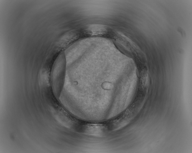 X0000111790316200908201137