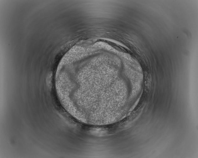 X0000111790319200908201137