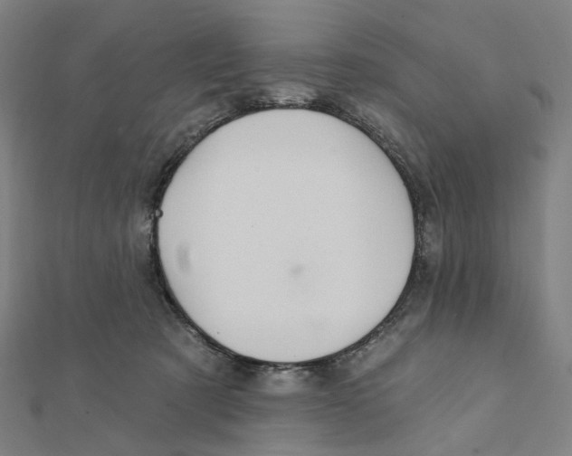 X0000111790321200908201137