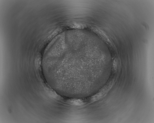 X0000111790322200908201137