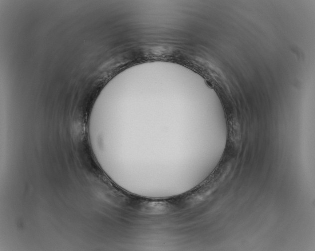 X0000111790324200908201137