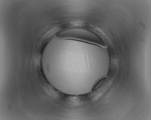 X0000111790325200908201137