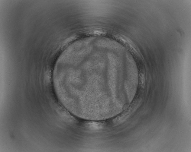 X0000111790326200908201137