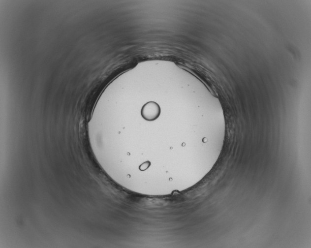 X0000111790327200908201137