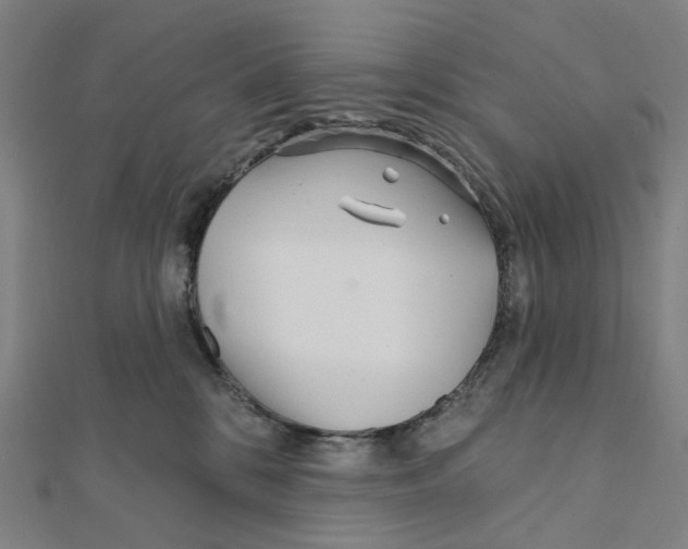 X0000111790328200908201137