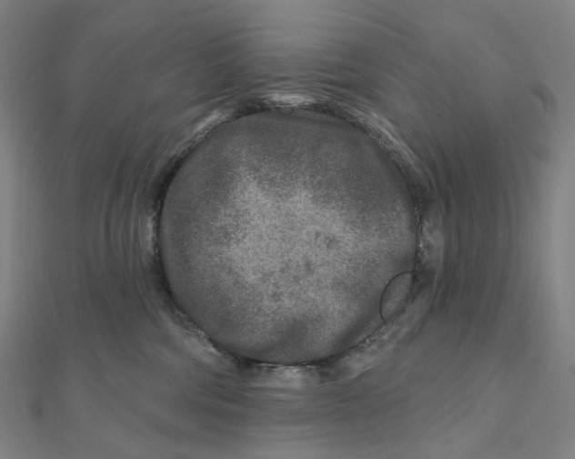 X0000111790330200908201137