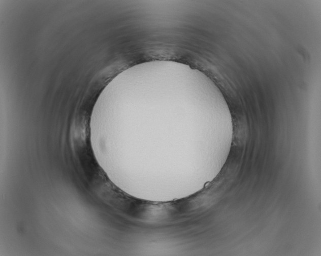 X0000111790334200908201137