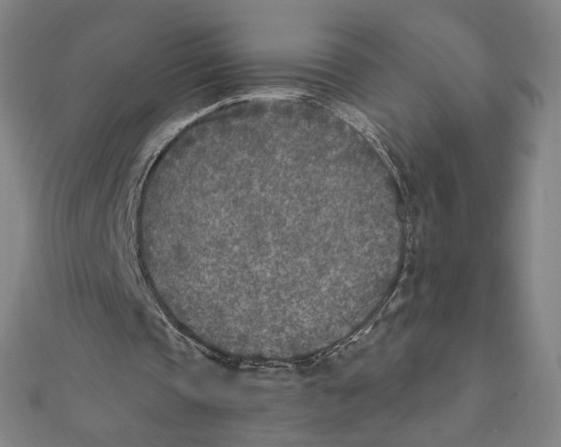 X0000111790337200908201136