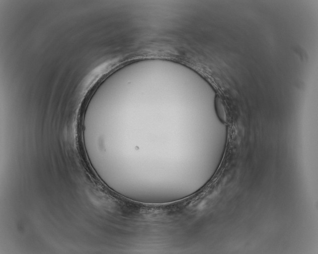 X0000111790340200908201136