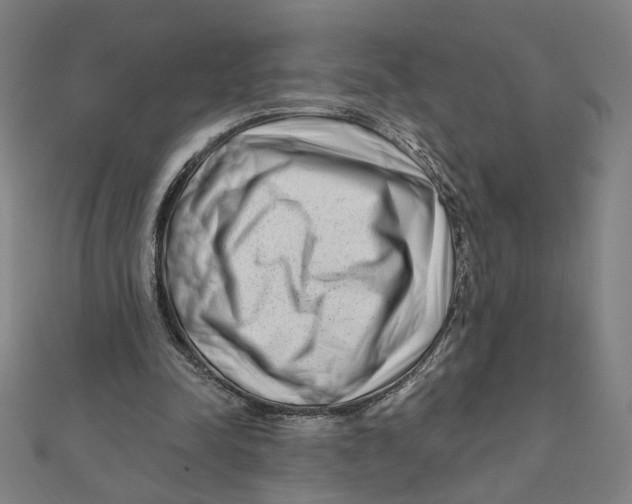 X0000111790342200908201136