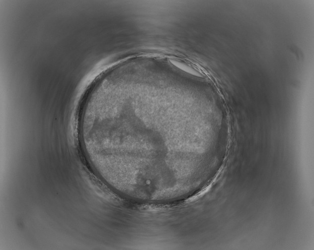 X0000111790343200908201136