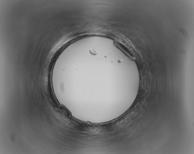 X0000111790344200908201136