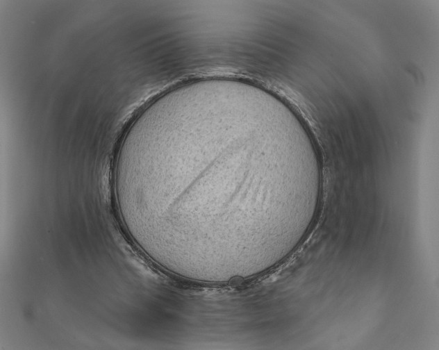 X0000111790345200908201136