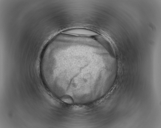 X0000111790346200908201136