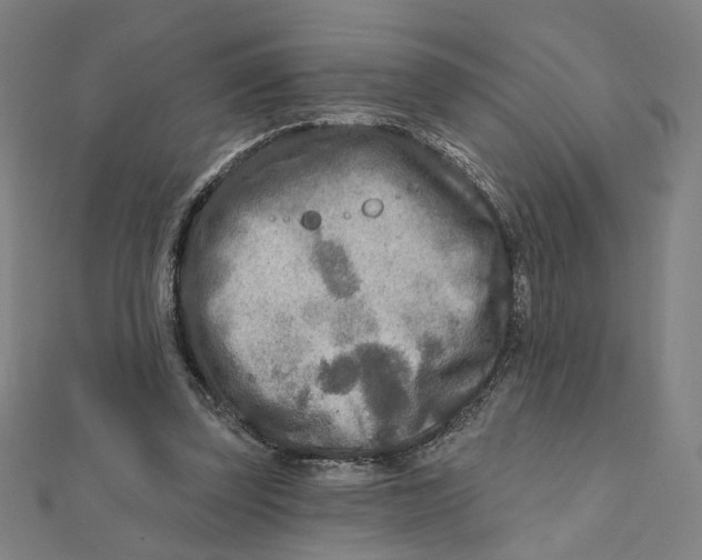 X0000111790347200908201136