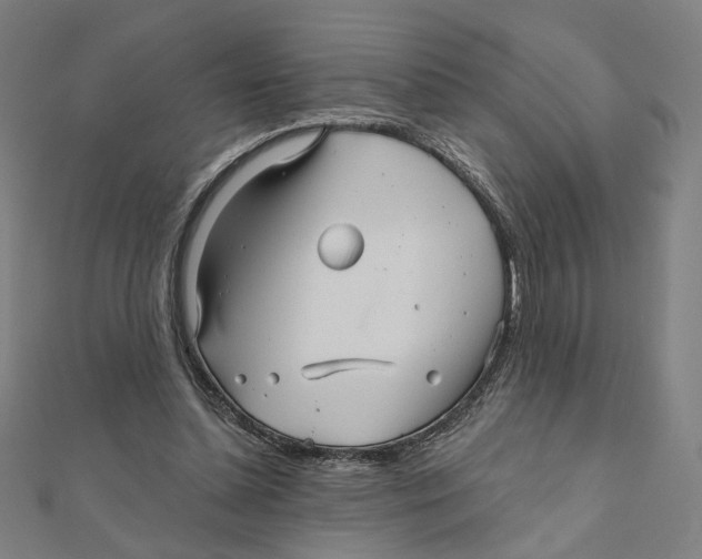 X0000111790348200908201136