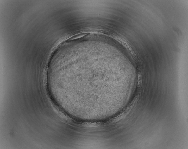 X0000111790349200908201136