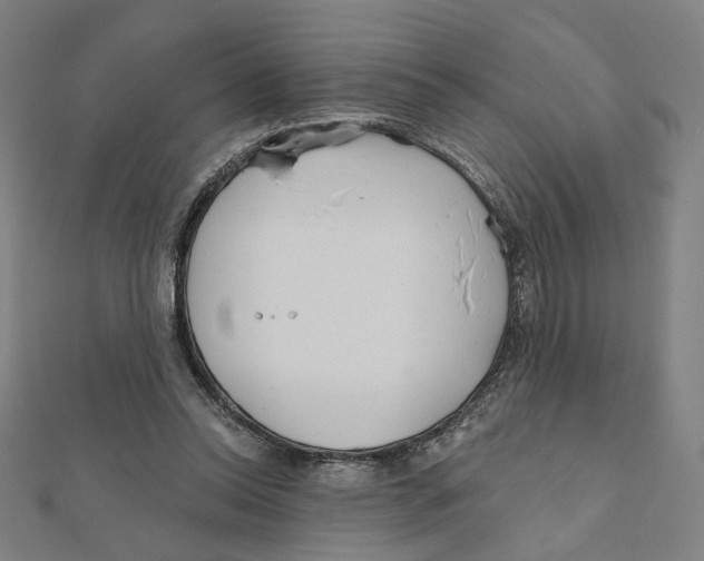 X0000111790350200908201136