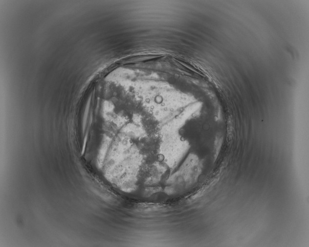 X0000111790351200908201136