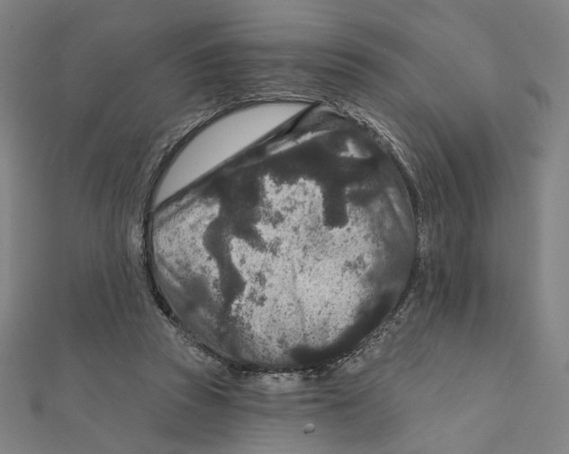 X0000111790353200908201137